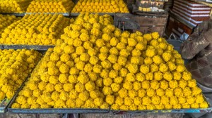 LADDU